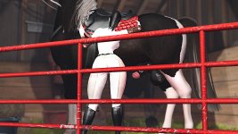 equestrianevent36685e7d3ec96f.jpg