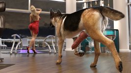 Startingdog10.jpg
