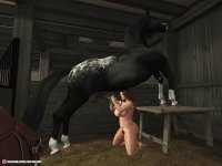 horse06682d06b68fe7.jpg