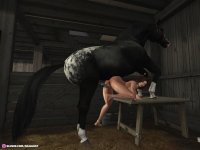 horse36682d08e03b4f.jpg