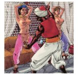 Barbary Slavedriver 1-05.jpg
