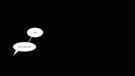 447.jpg