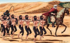 BarbarySlaveDriver 2-11.jpg