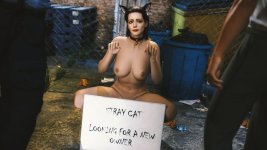 2022_04_10_Stray_Cat_Adoption_by_MisfittedArfist_912637176.jpg