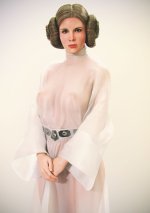 2023_02_28_Princess_Leia_by_MisfittedArfist_951545137.jpg