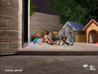 Lost Family 31-20.jpg