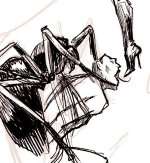 sdx Spider assisting in boot-worship.jpg