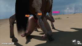 PkLf(54035).jpg