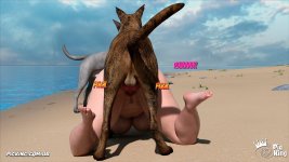 PkLf(57085).jpg
