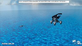 PkLf(59003).jpg