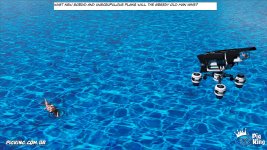 PkLf(59009).jpg