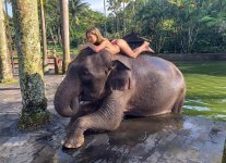 Bali Babes - intro (14).jpg Bali Babes - intro (14).jpg