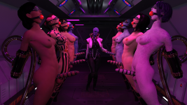 Queens collection - futa 01.png Queens collection - futa 01.png
