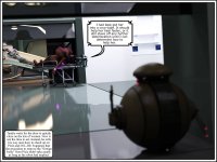 406.jpg