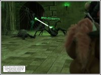 2013.jpg