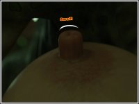 2091.jpg