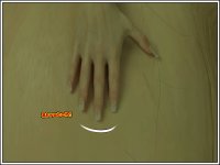 2235.JPG