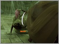 2255.JPG