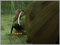 2258.JPG