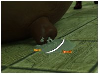 2275.JPG
