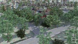adv_001.jpg