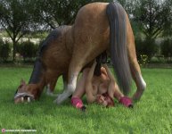 goodhorsey66290b0b103bc.jpg