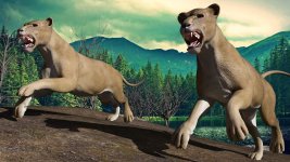 374：2023_10_29_The_Hungry_Cats_of_Gor_close_up_by_GTA345_991082630.jpg