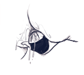 067_tumblr_ose49mGLqD1s2jvw1o8_1280.png