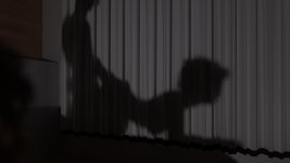 shadow4k66bb978359a57.jpg