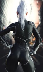 Black Cat 4.jpg