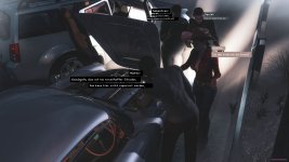 cow_de-02.jpg