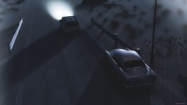 cow_de-04.jpg