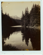 040_00098_4133499601.png