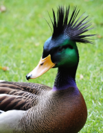 350_00152_1778420870.png