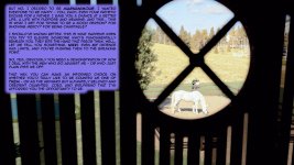 IMG_00008.jpeg