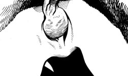 Artwork for Mia (11).jpg