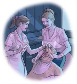 dentist.jpg