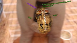 276.jpg