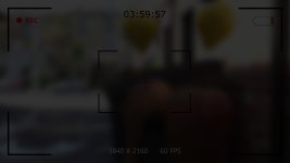 397.jpg