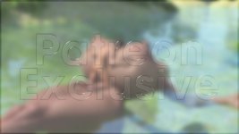 x.jpg