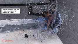 153.jpg