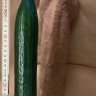 stud22cm