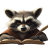 Racoonteur